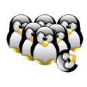 Penguin pingouin pinguino 129